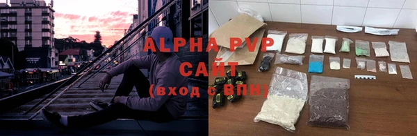 гидра Ельня
