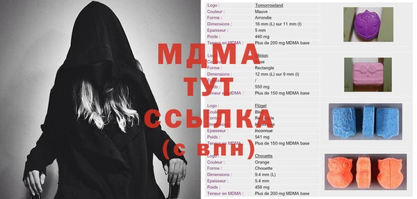 гидра Ельня