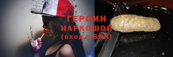 прущие грибы Дмитриев