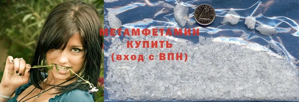 гидра Ельня