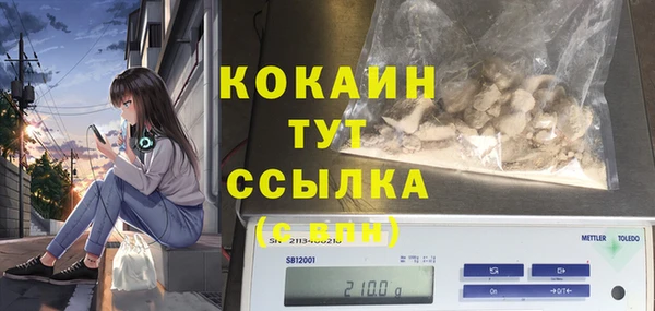 прущие грибы Дмитриев