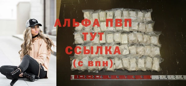 прущие грибы Дмитриев