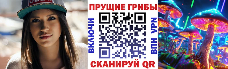 Псилоцибиновые грибы MAGIC MUSHROOMS Новоалександровск