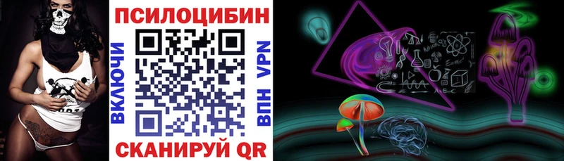 Купить  Новоалександровск  Псилоцибиновые грибы мицелий 