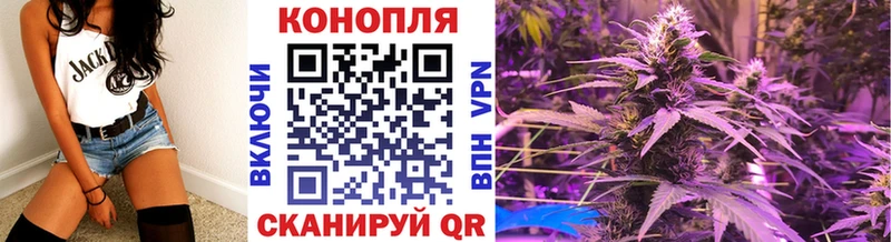 Купить закладки  Новоалександровск  Каннабис AK-47 